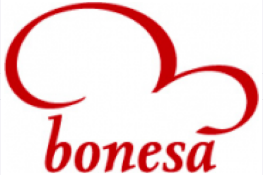 Bonesa Bonesa